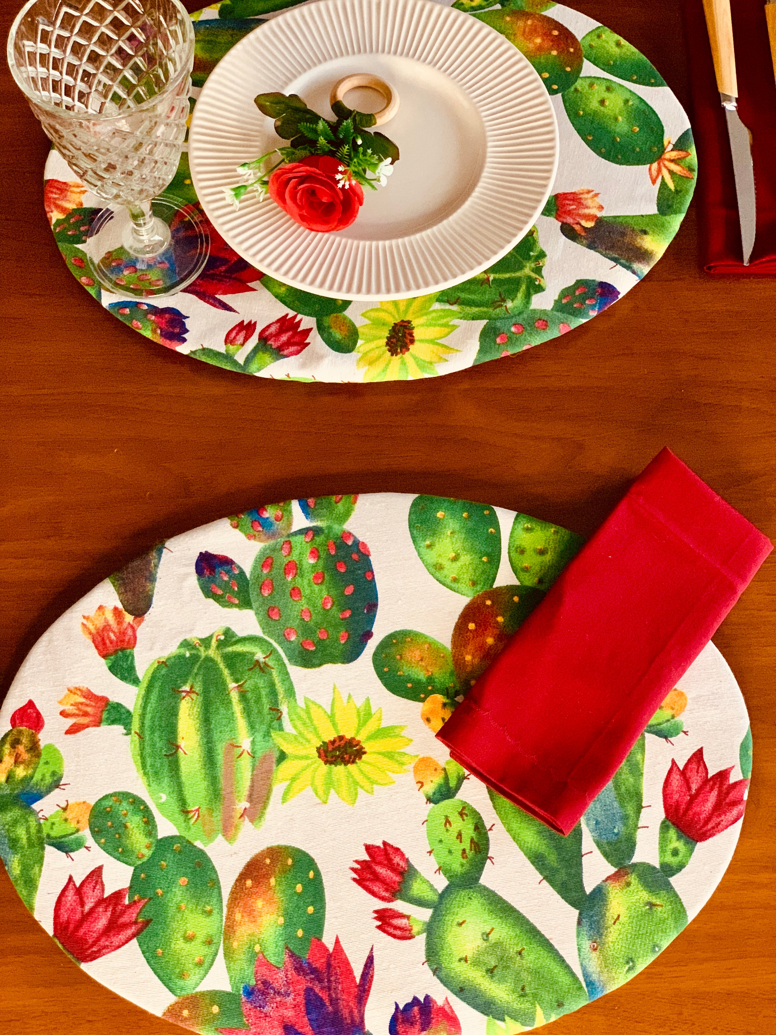 Cactus ovale ( Set da 2)