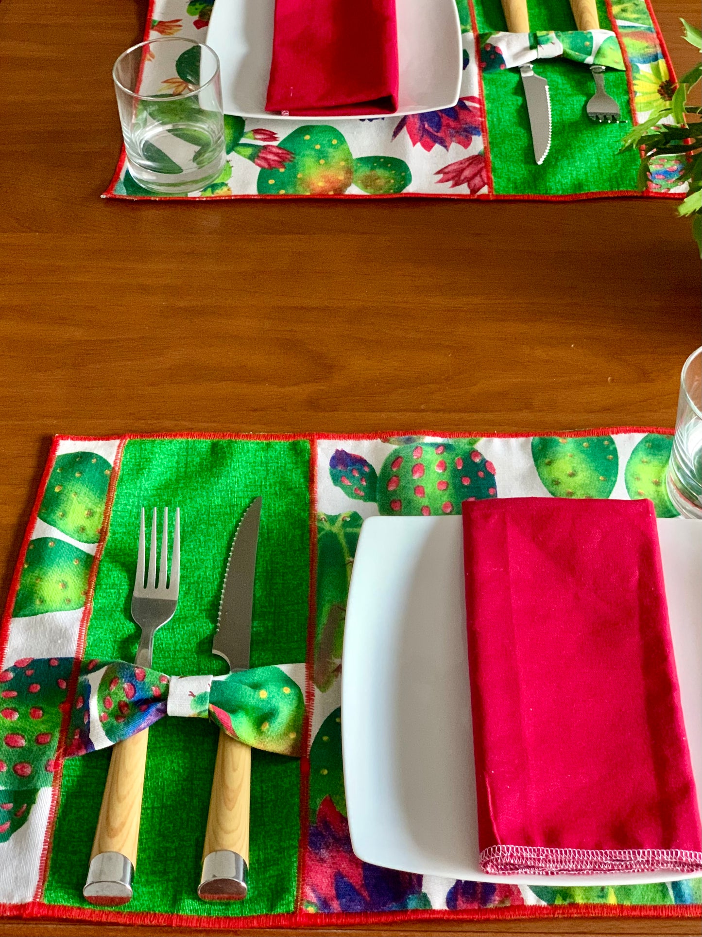 PLACEMATS CACTUS