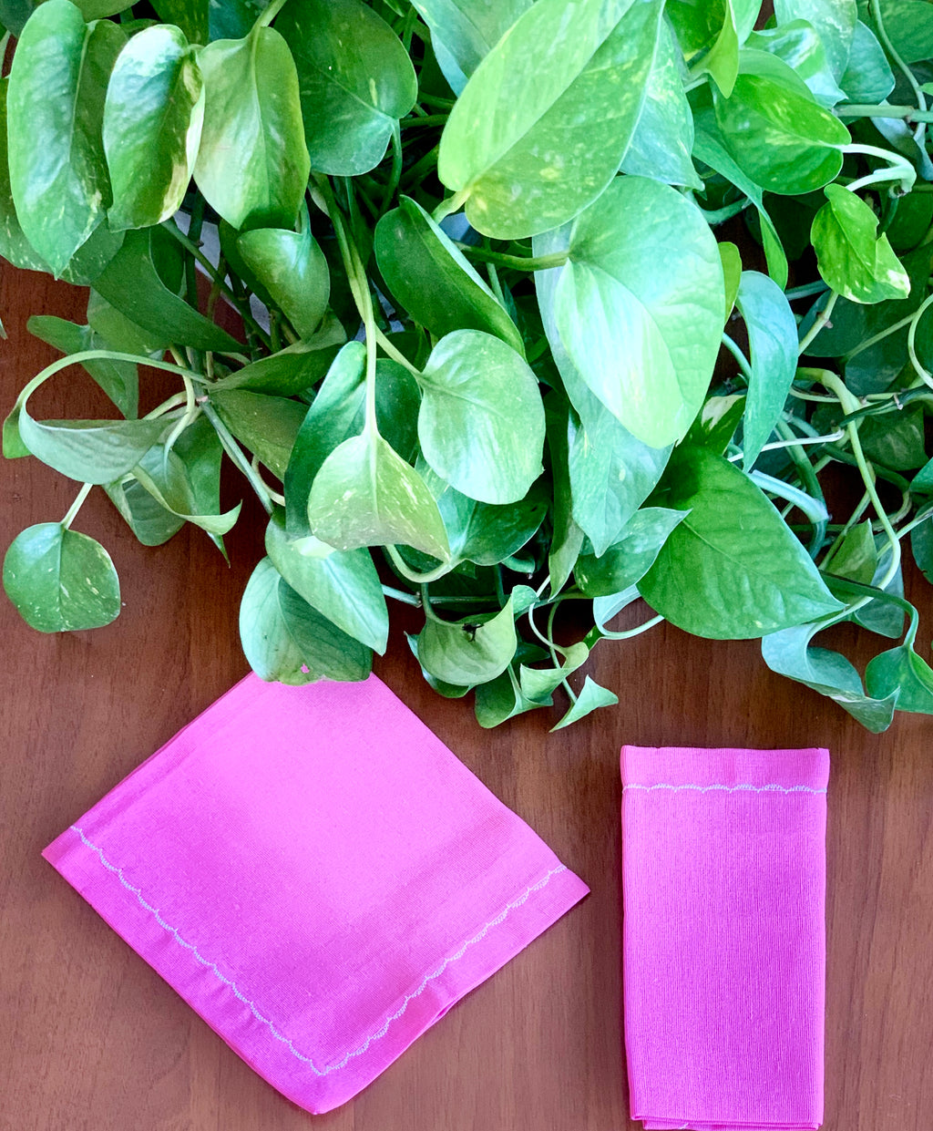 Fucsia 2U.